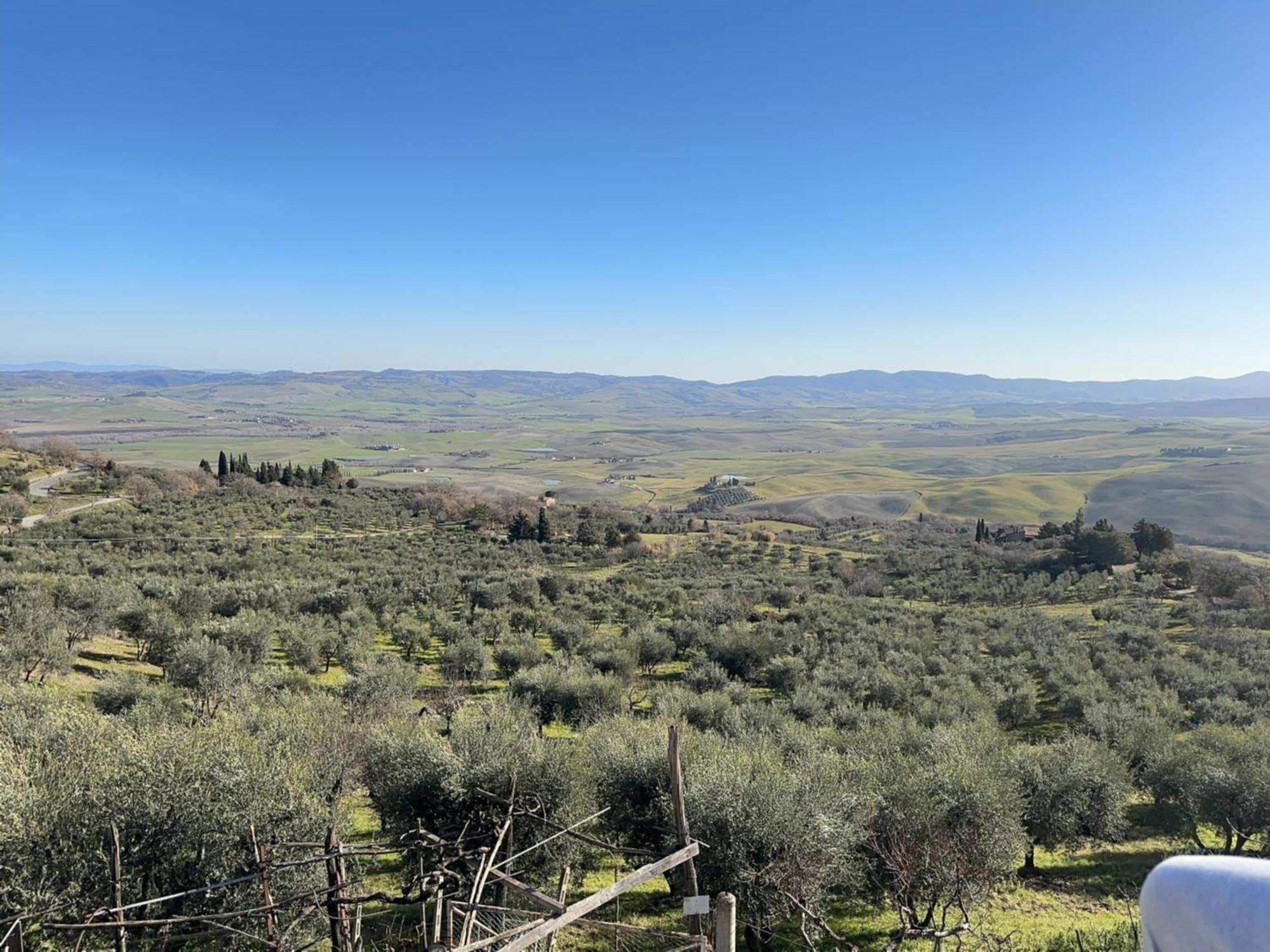 Bed and Breakfast Lucky Garden Bevagna Exterior foto